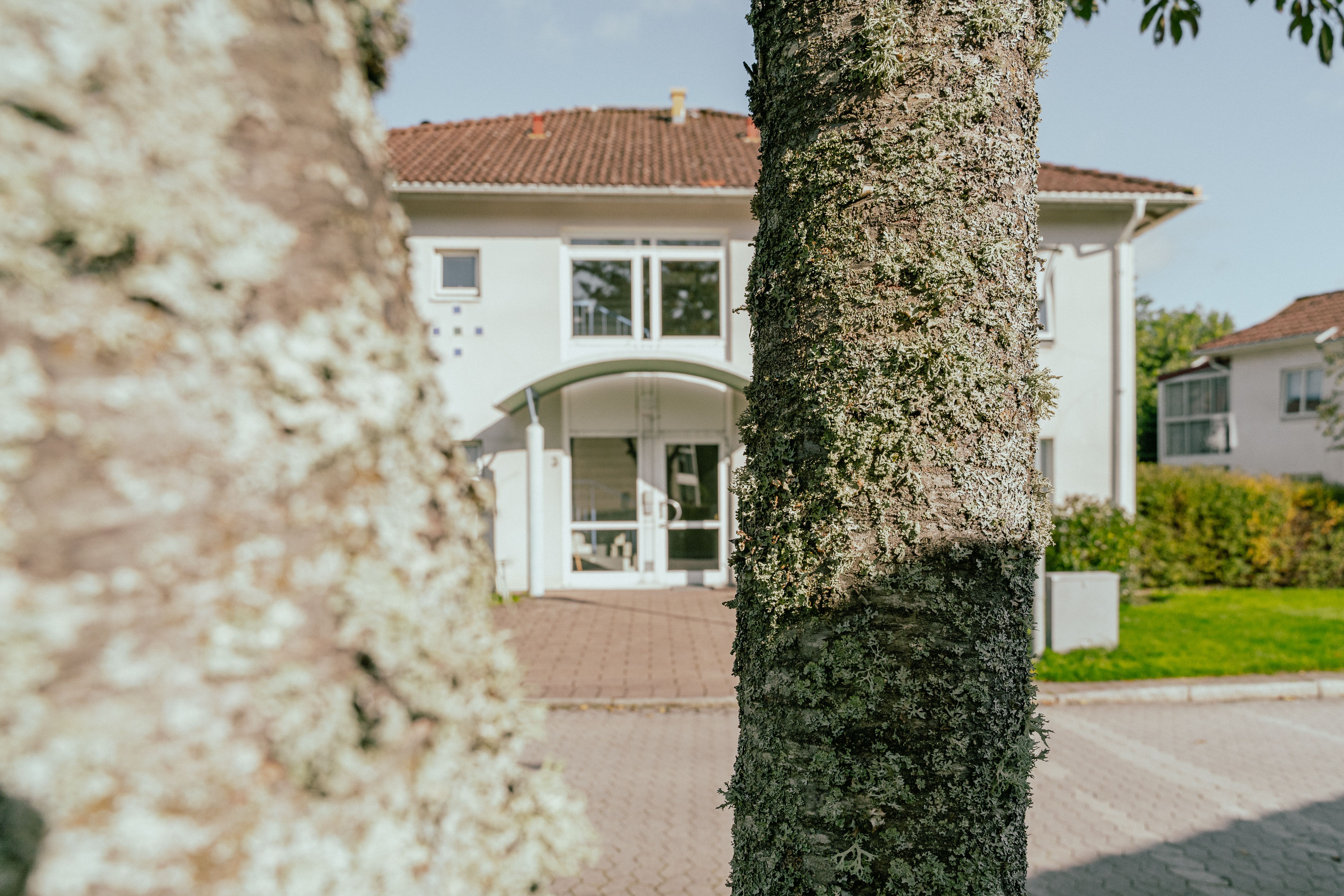 Ett träd i förgrunden, bakom syns en fasad och en entré