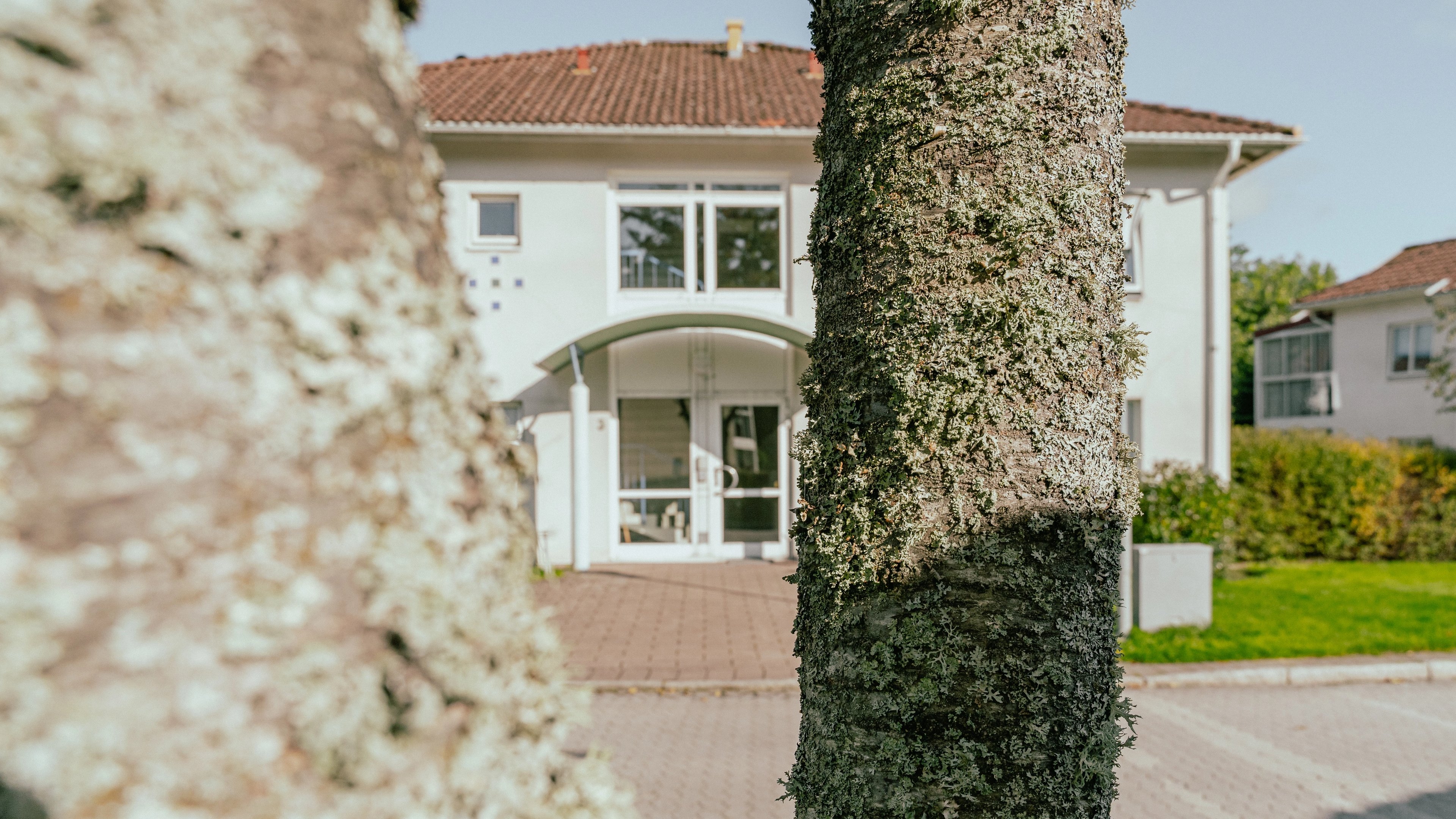 Ett träd i förgrunden, bakom syns en fasad och en entré