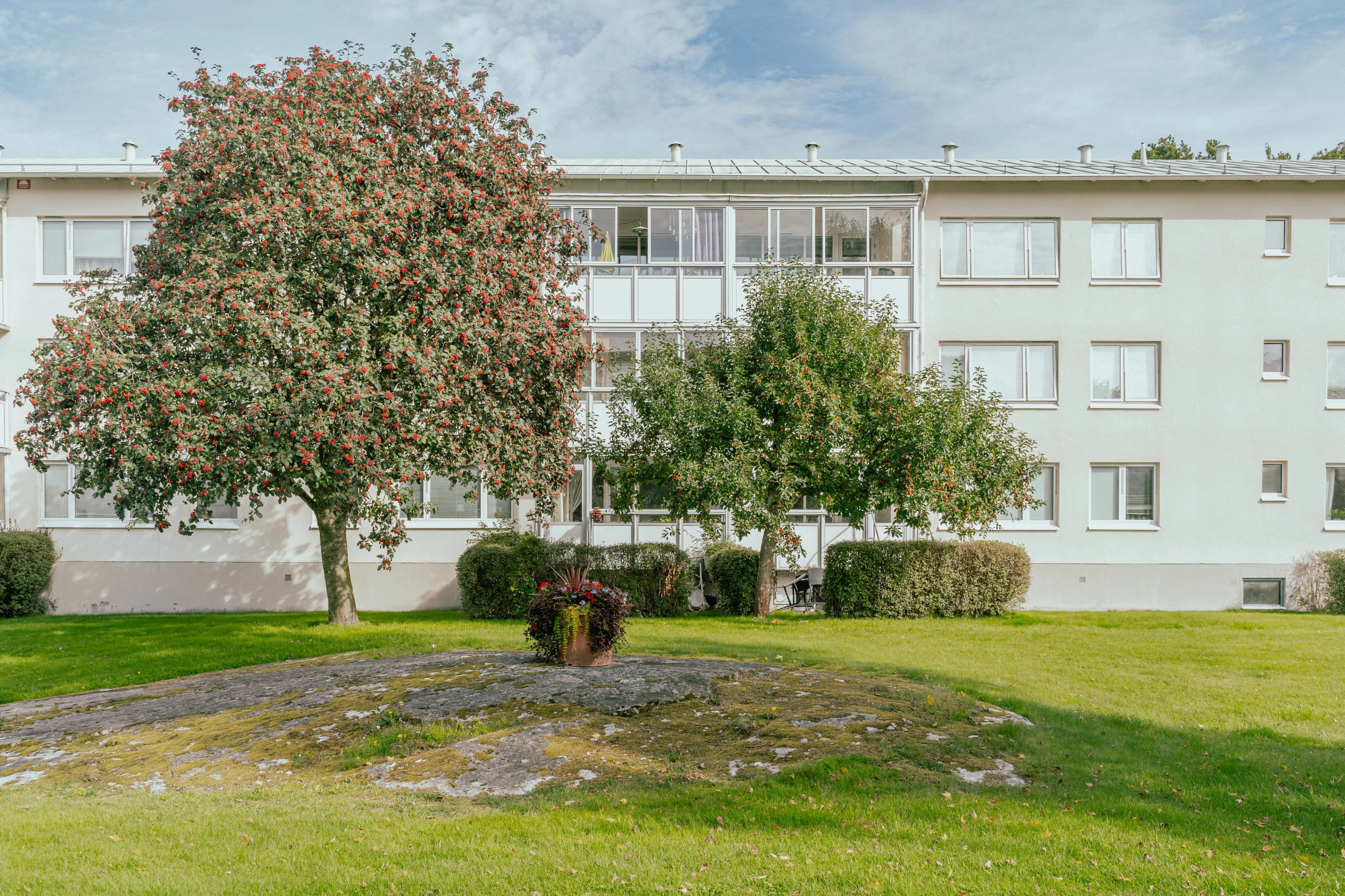 Ett äppelträd framför ett trevåningshus