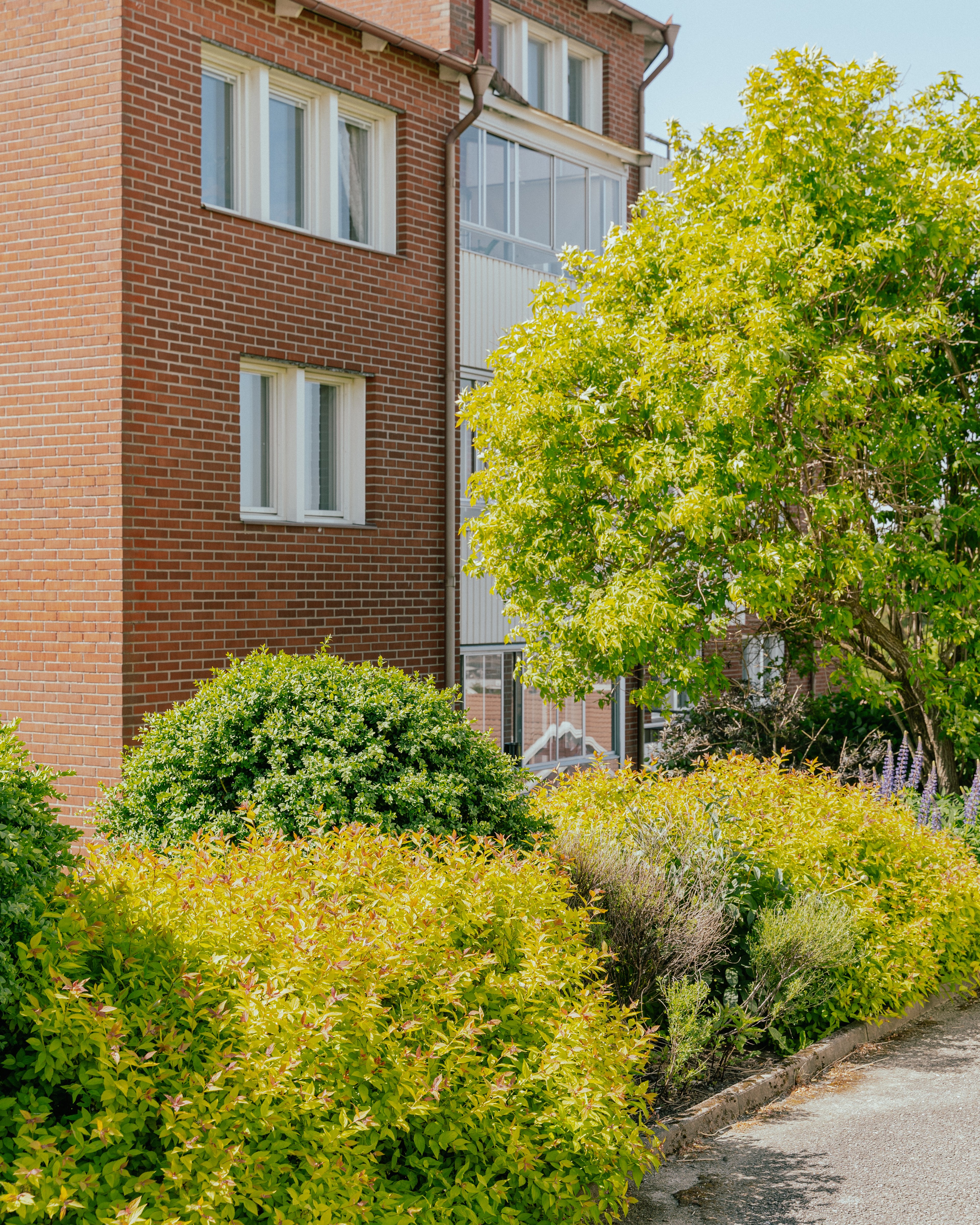 Ett flervåningshus i tegel med planteringar och buskar framför