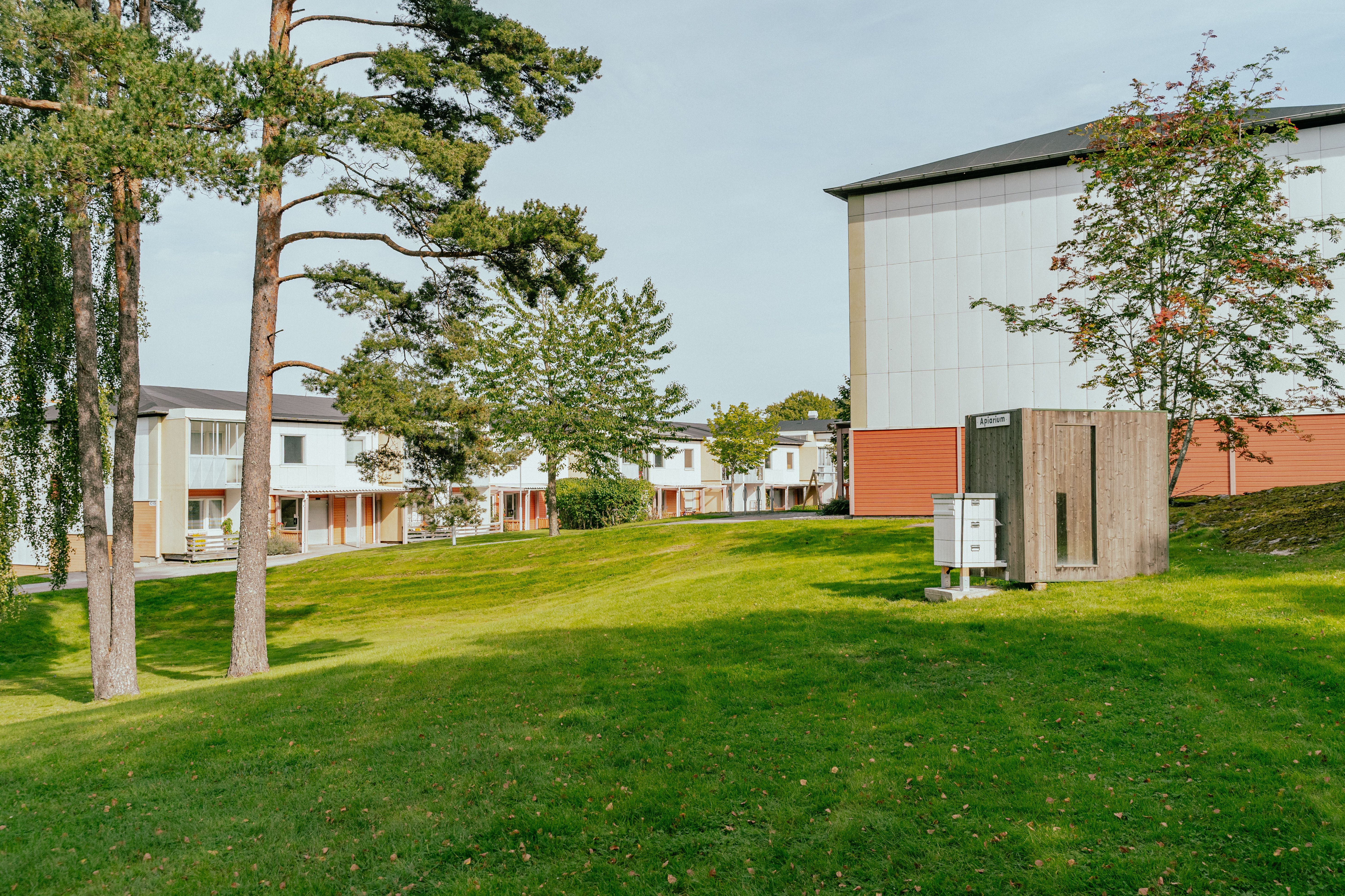 En stor grön gräsyta med träd och en bikupa