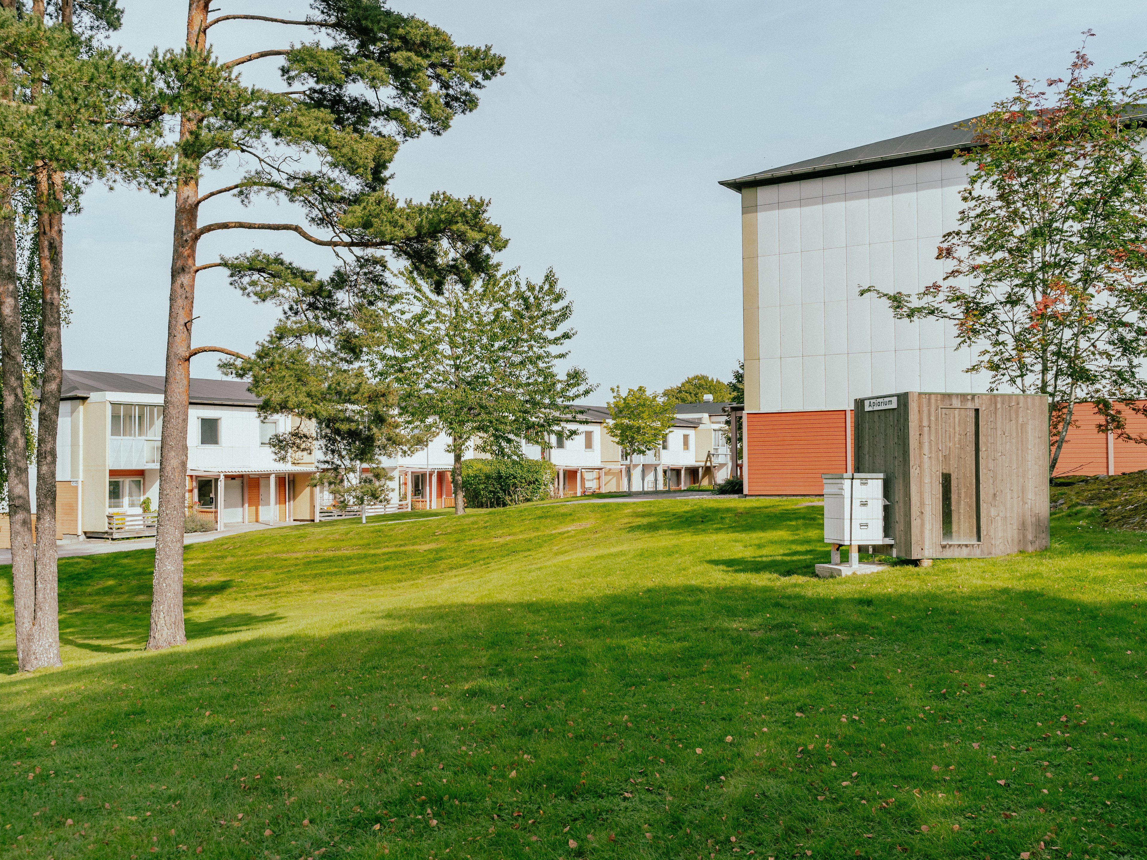 En stor grön gräsyta med träd och en bikupa