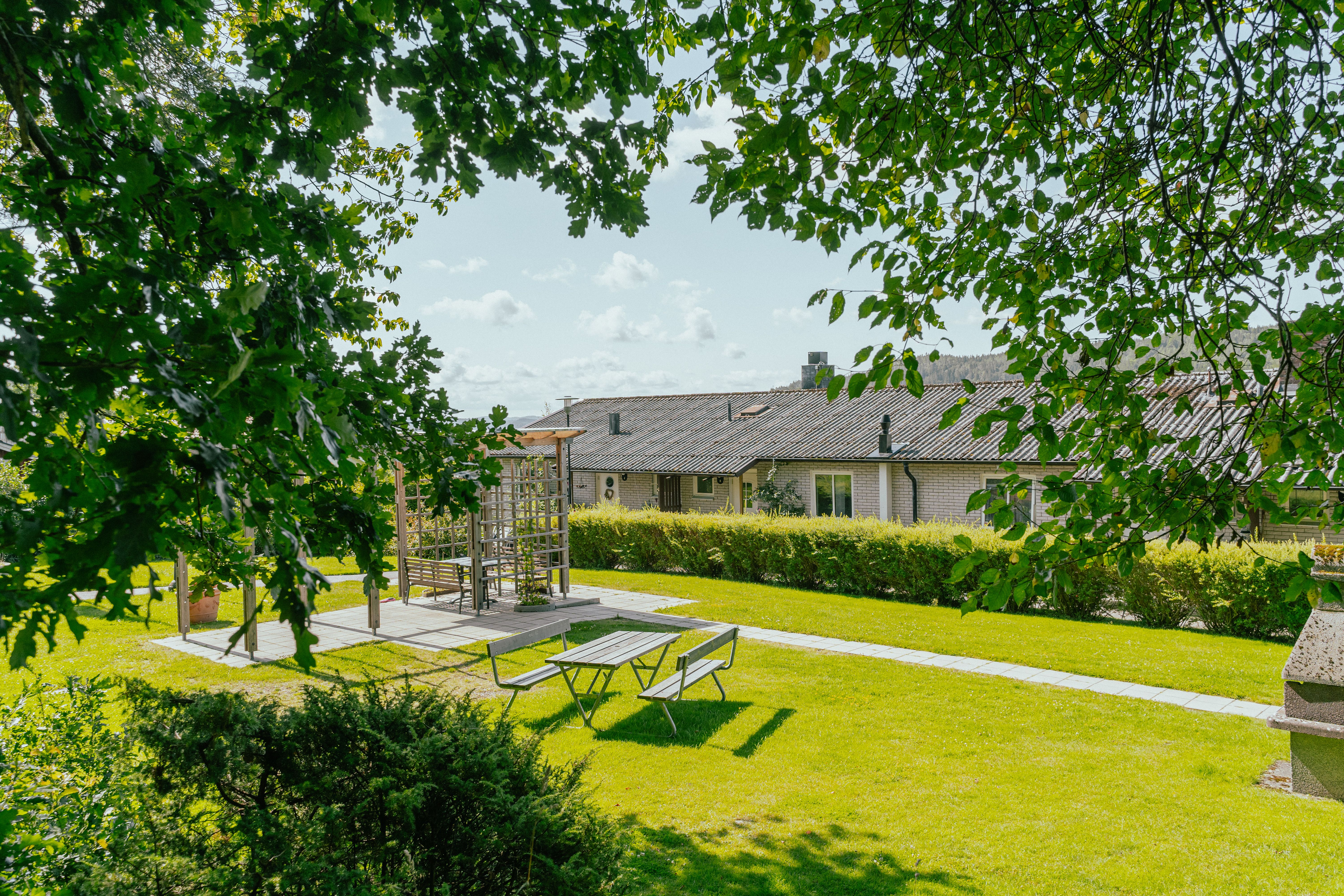 En uteplats med bänkar sedd mellan trädkronor och buskage