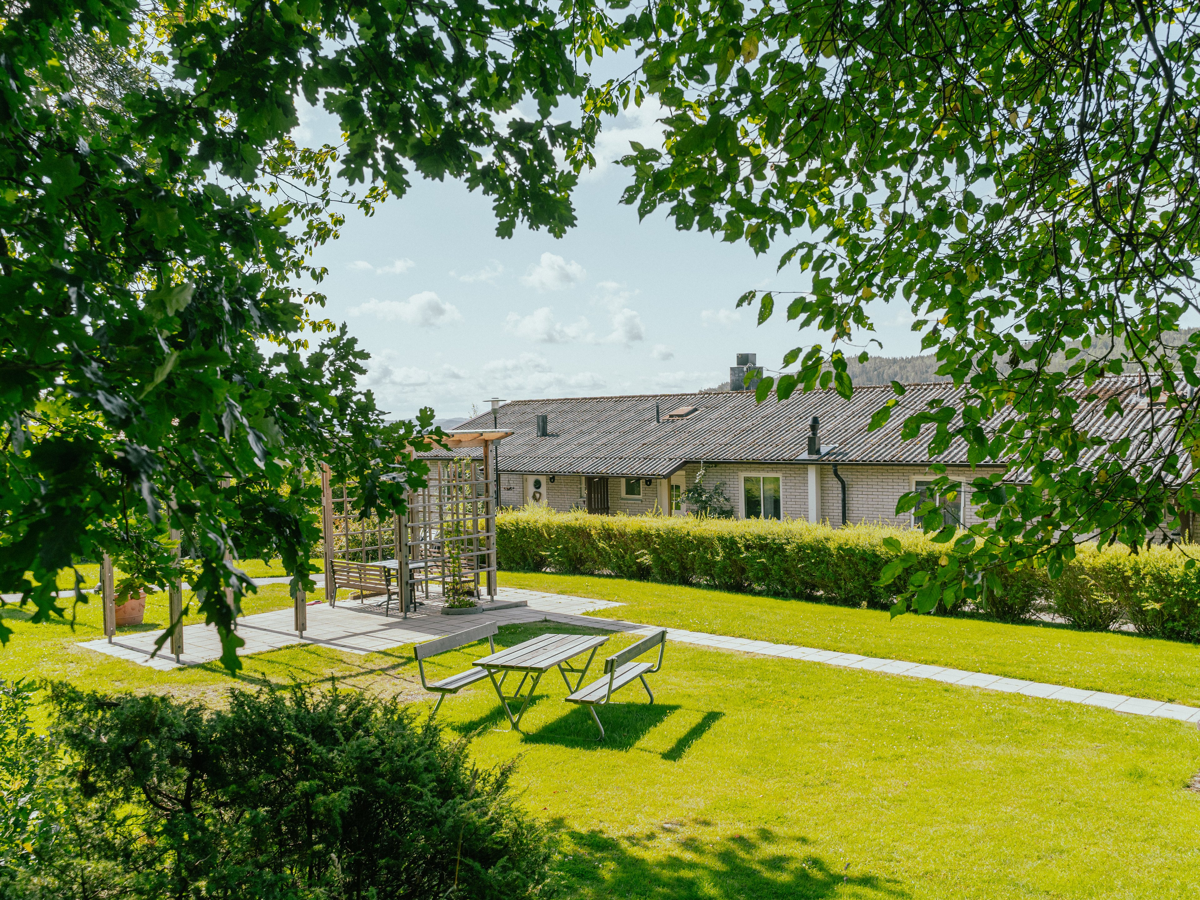 En uteplats med bänkar sedd mellan trädkronor och buskage