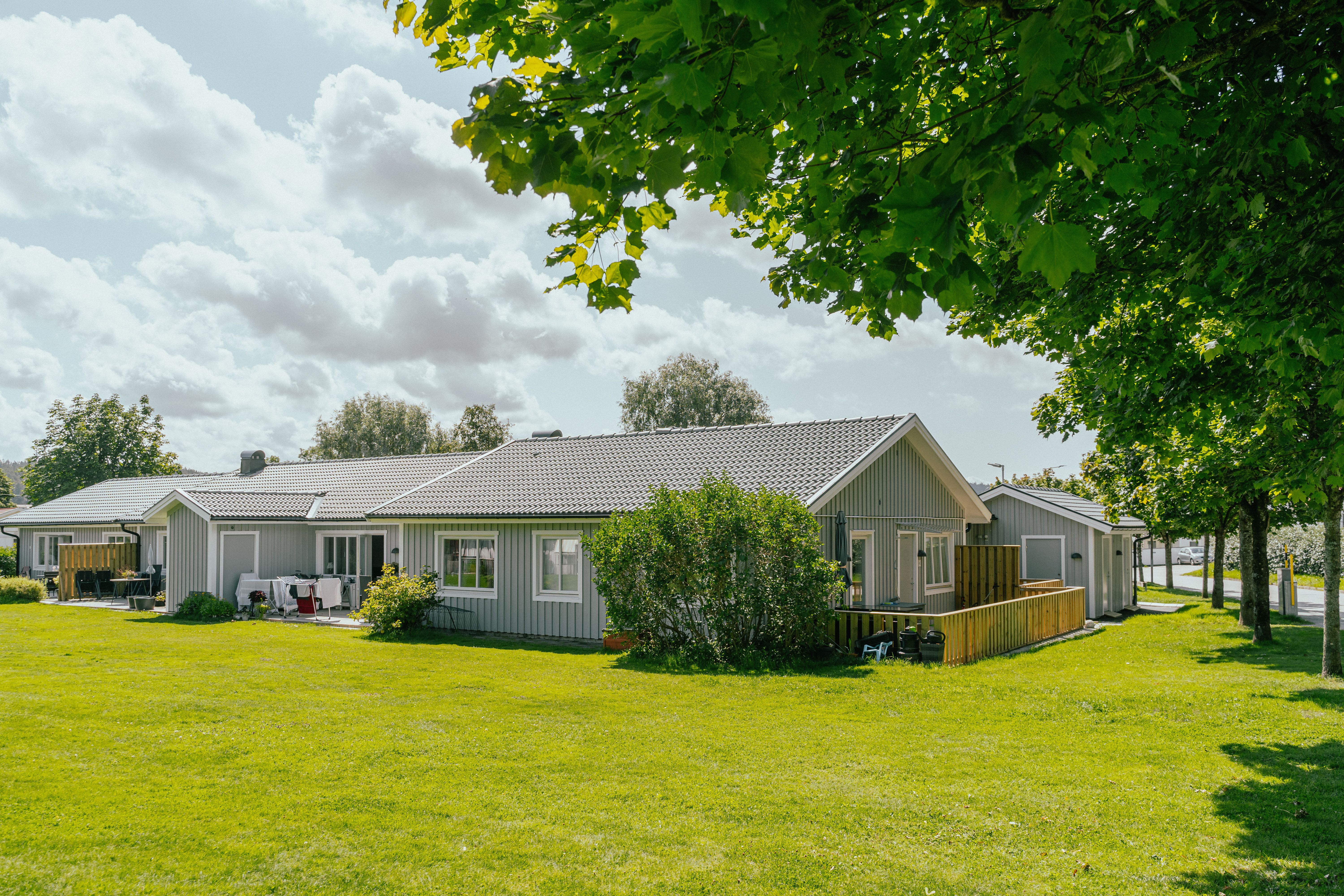 Stor gräsmatta och träd framför enplanshus