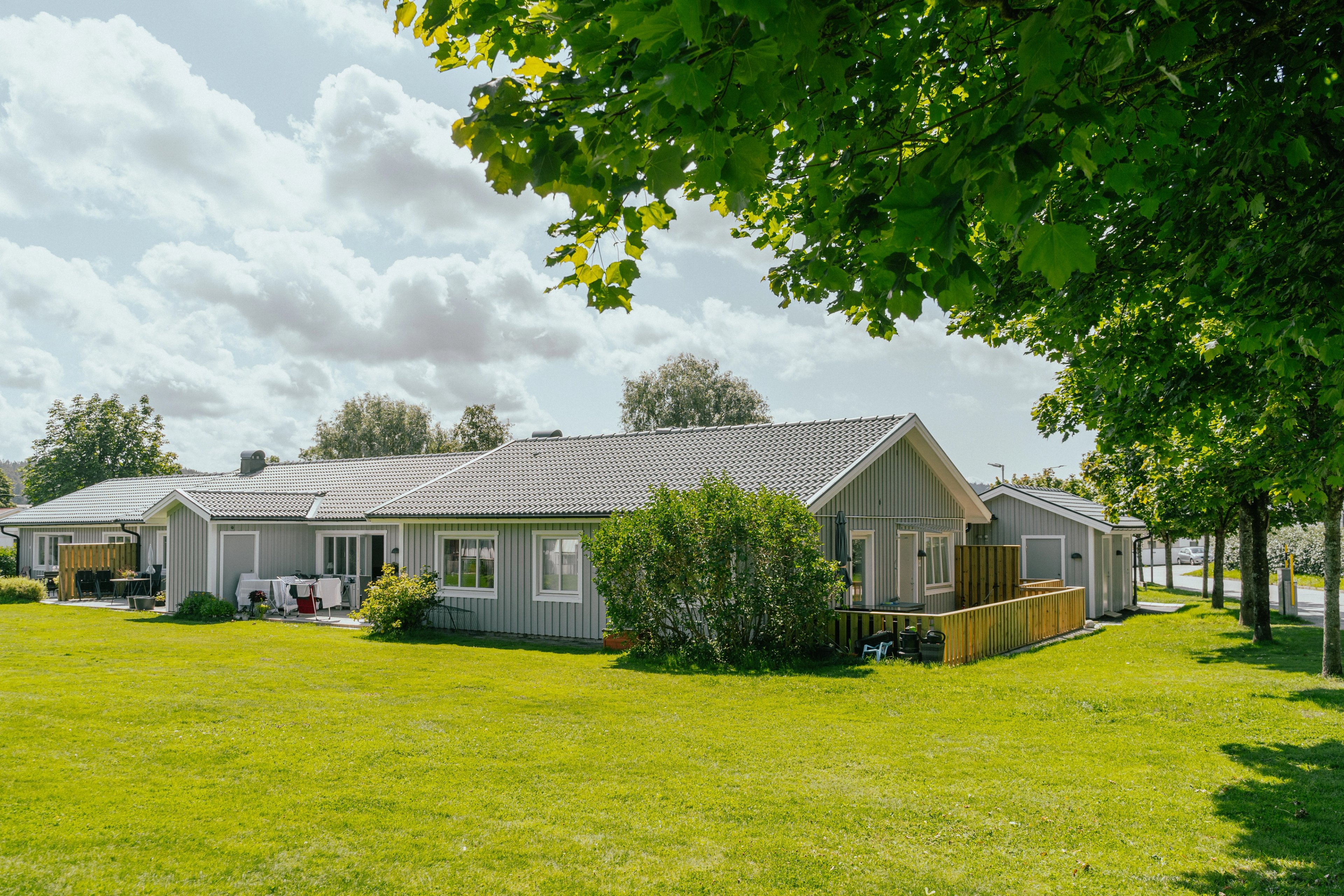 Stor gräsmatta och träd framför enplanshus