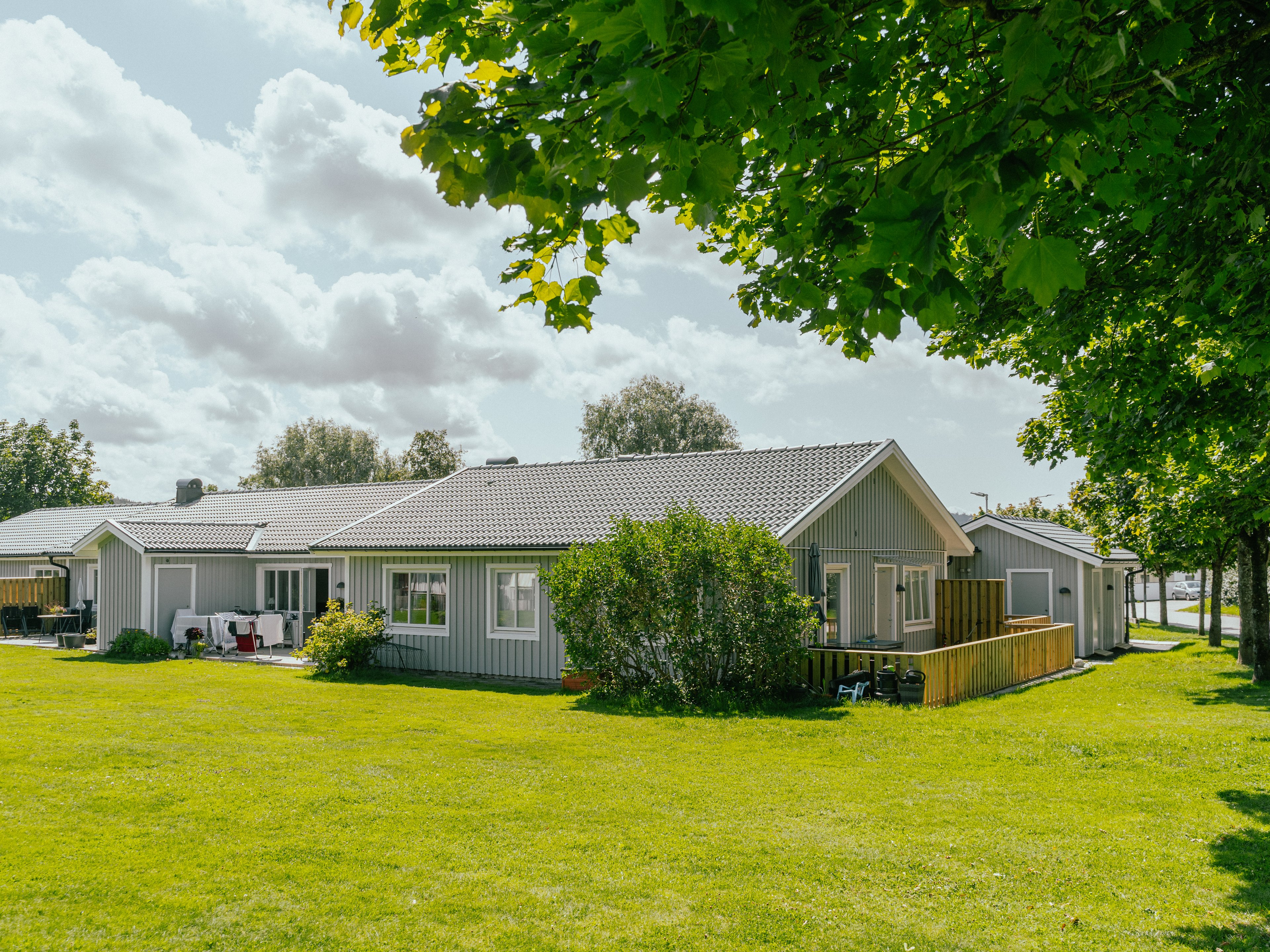 Stor gräsmatta och träd framför enplanshus