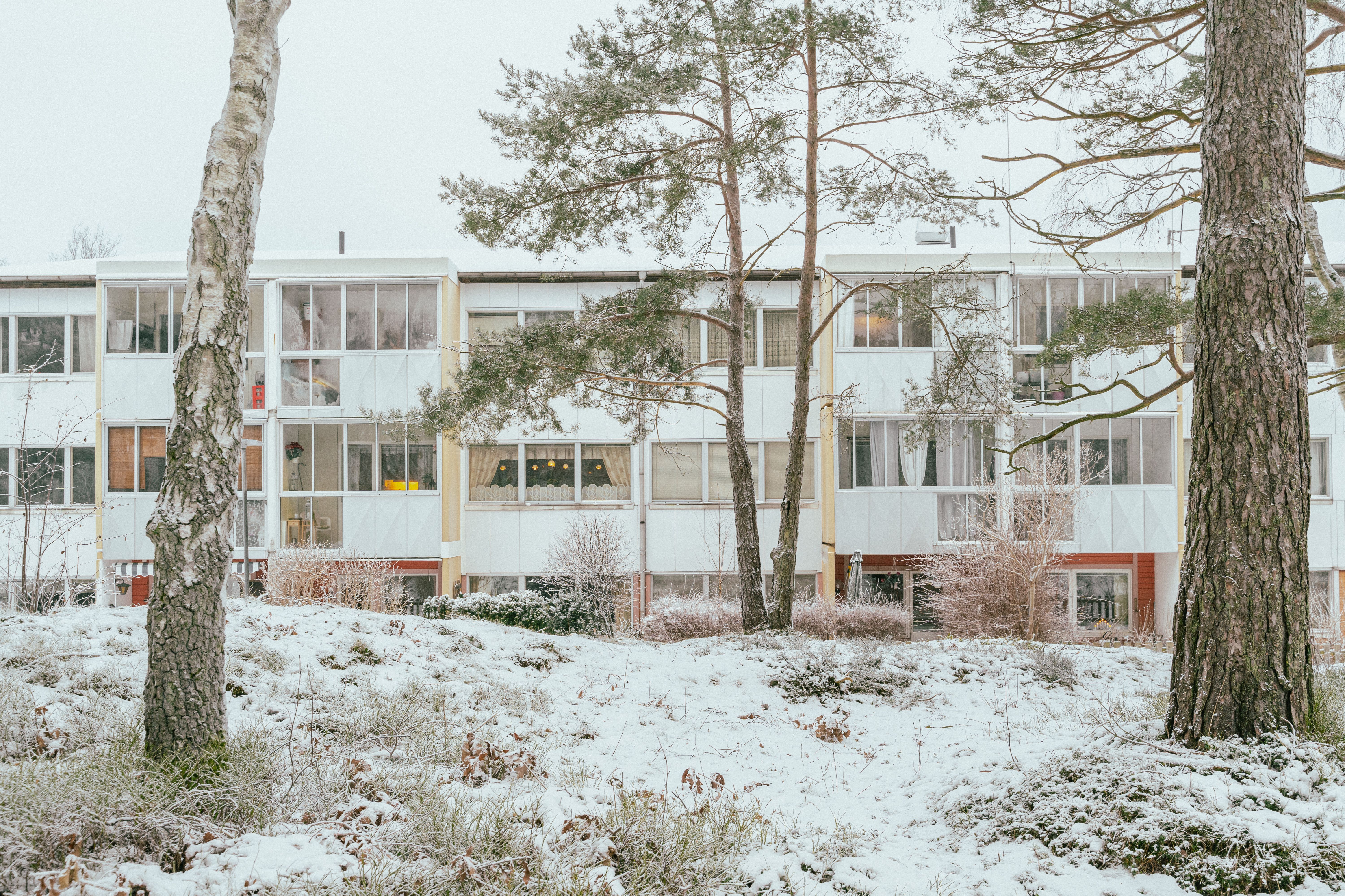 En husfasad sedd med trädstammar framför