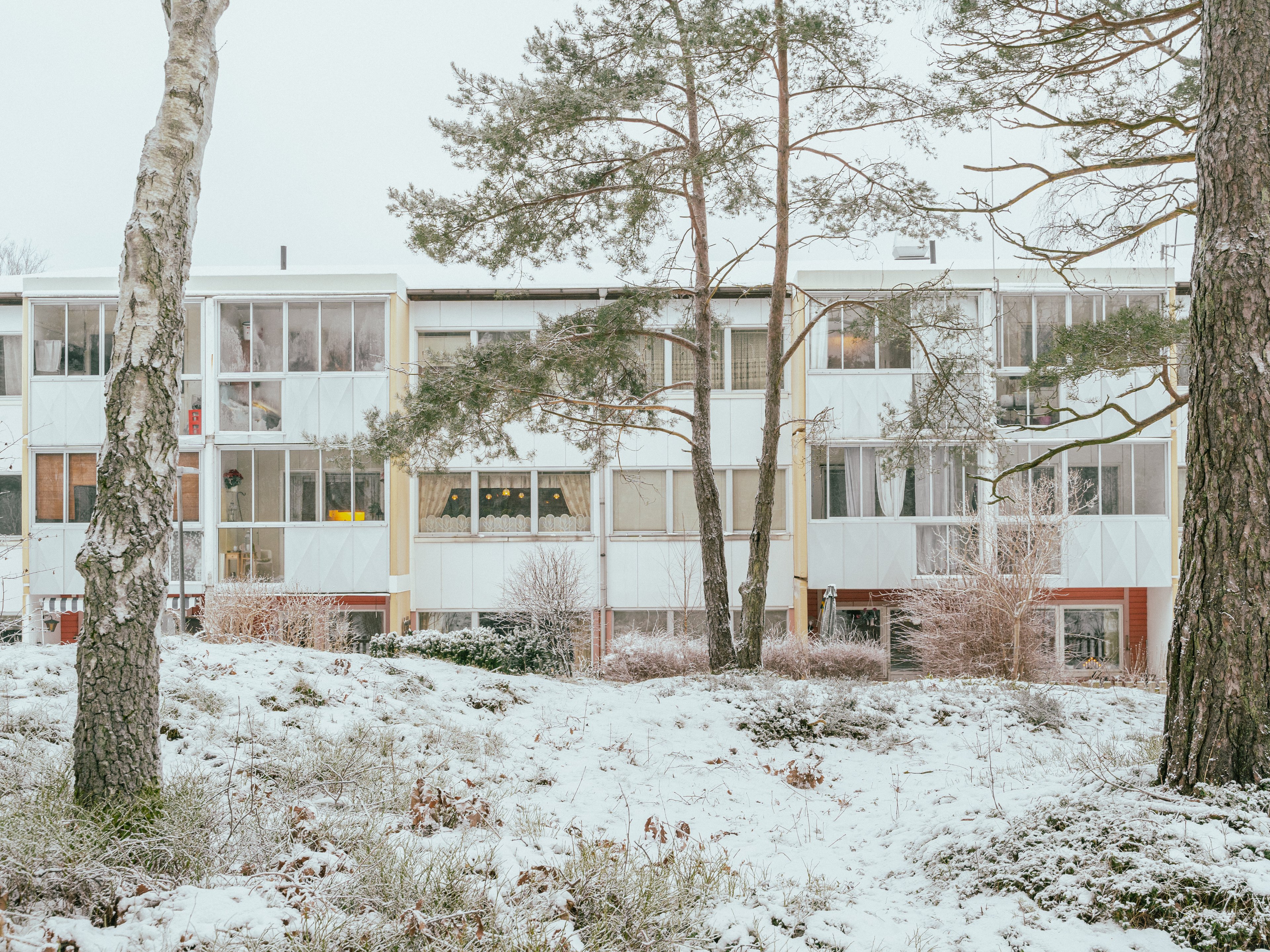 En husfasad sedd med trädstammar framför