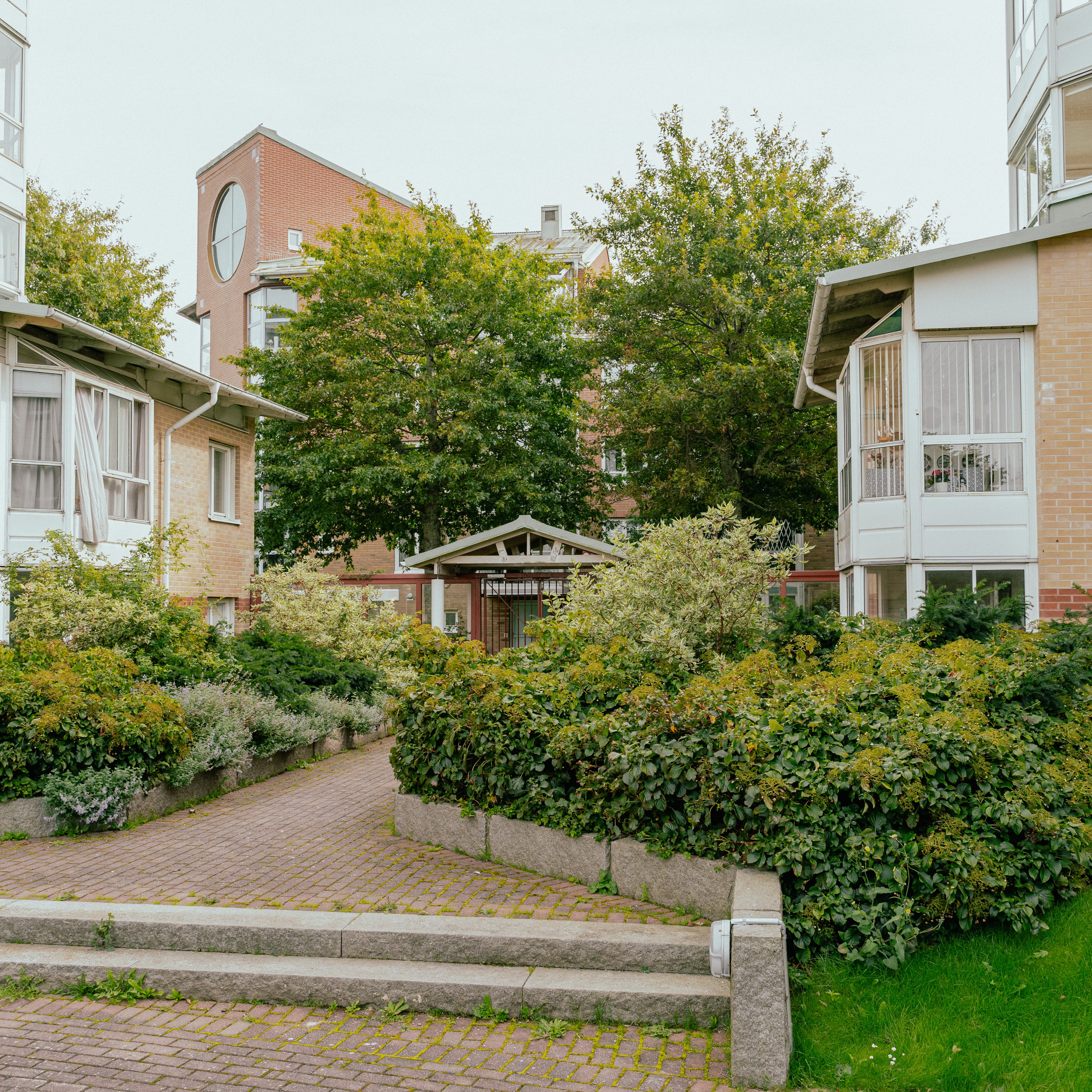En gång mellan två hus, med gröna planteringar och buskage
