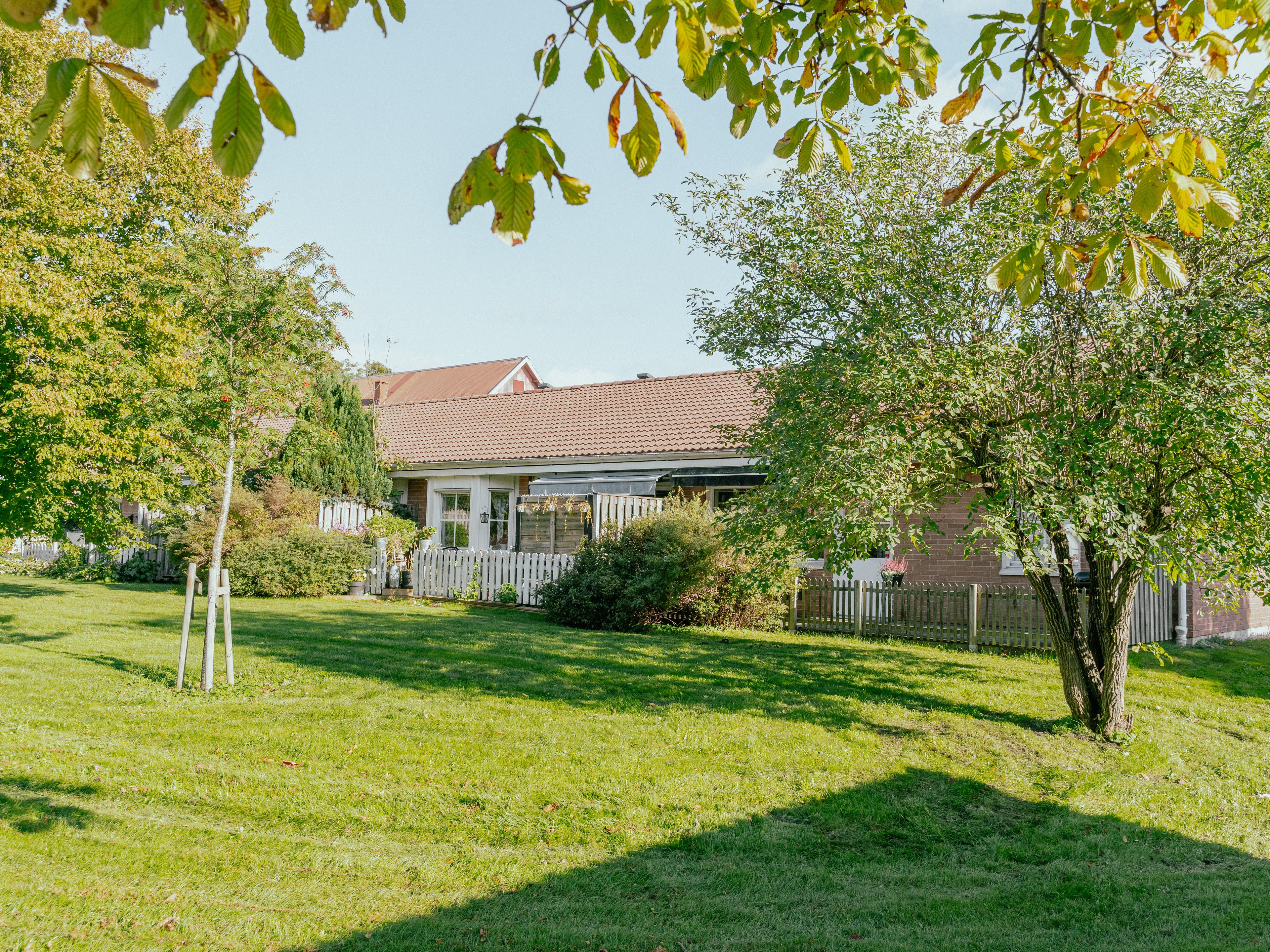 En gräsmatta med träd framför ett enplanshus