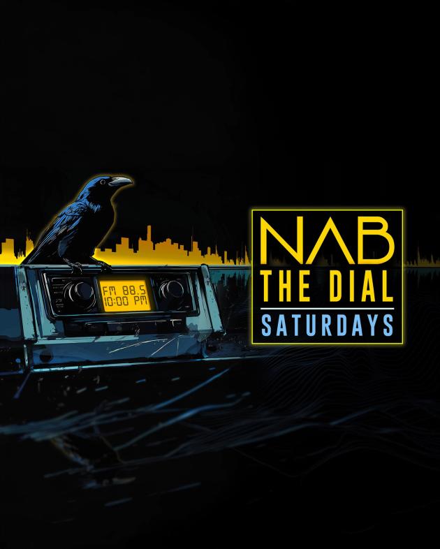NAB the dial show artwork