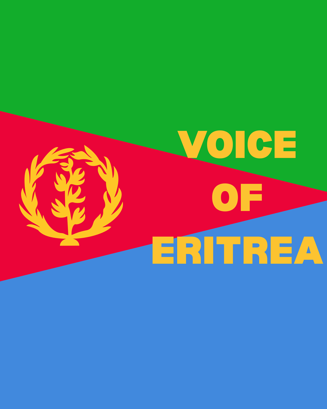 Voice of Eritrea show artwork