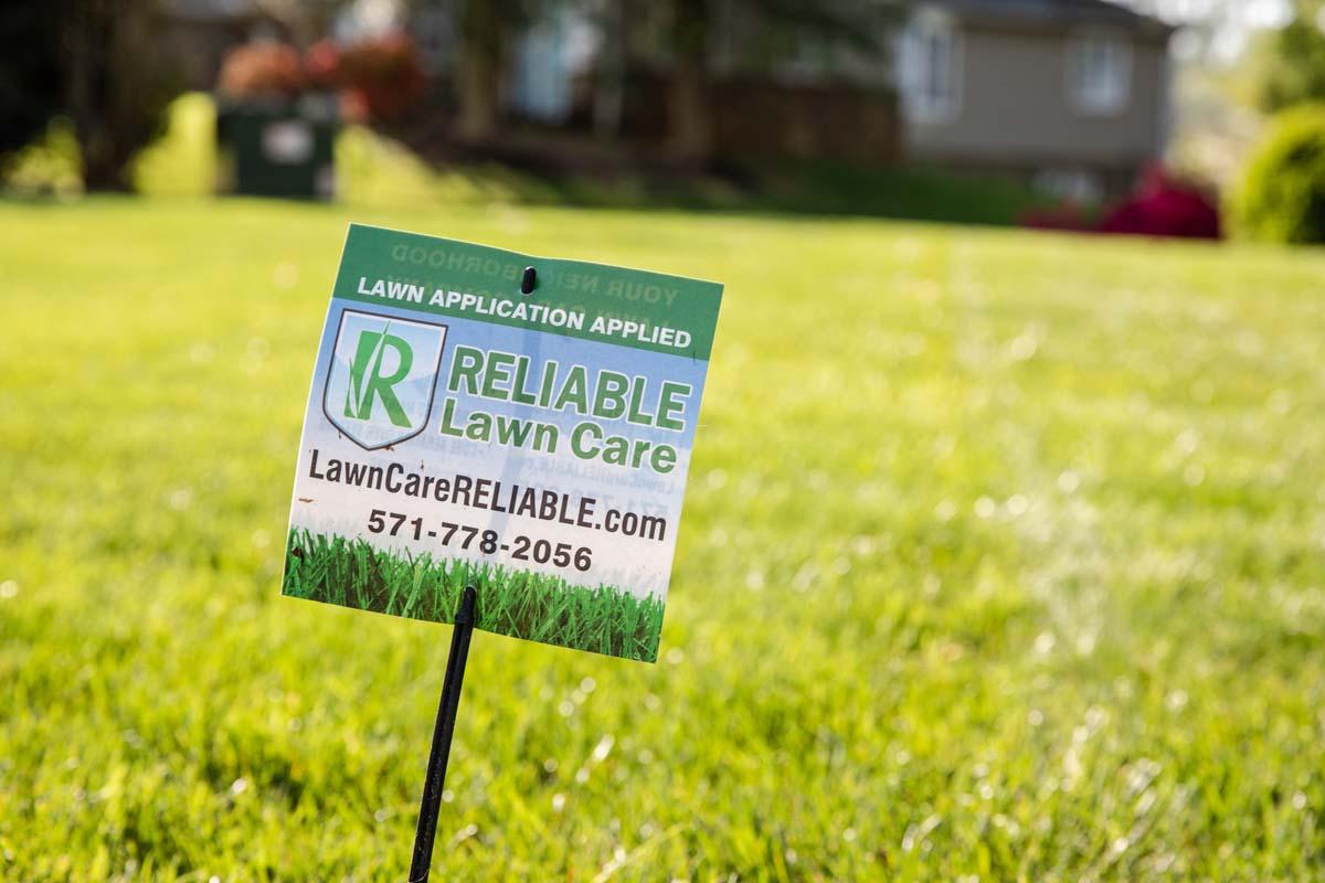7 Reasons to Choose Lawn Care Services in Virginia for a Healthy Lawn