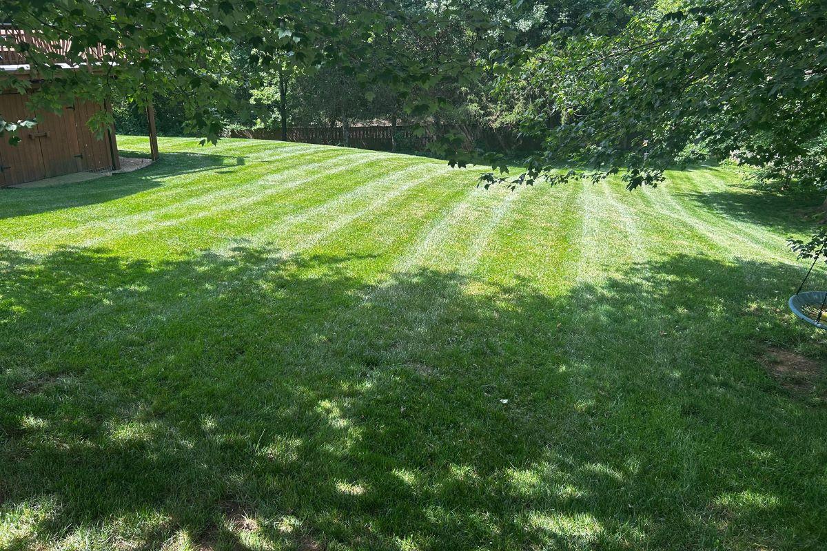 Professional Mowing