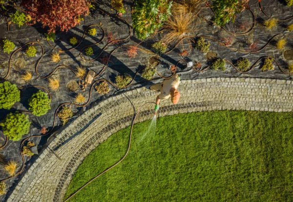 The Complete Guide to Lawn Renovation in Northern Virginia: Transform Your Yard This Season
