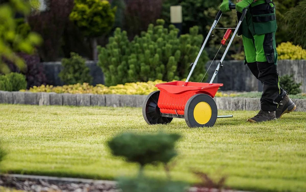 Topdressing