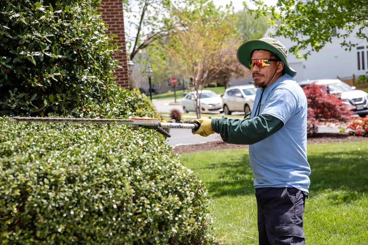 Mulching