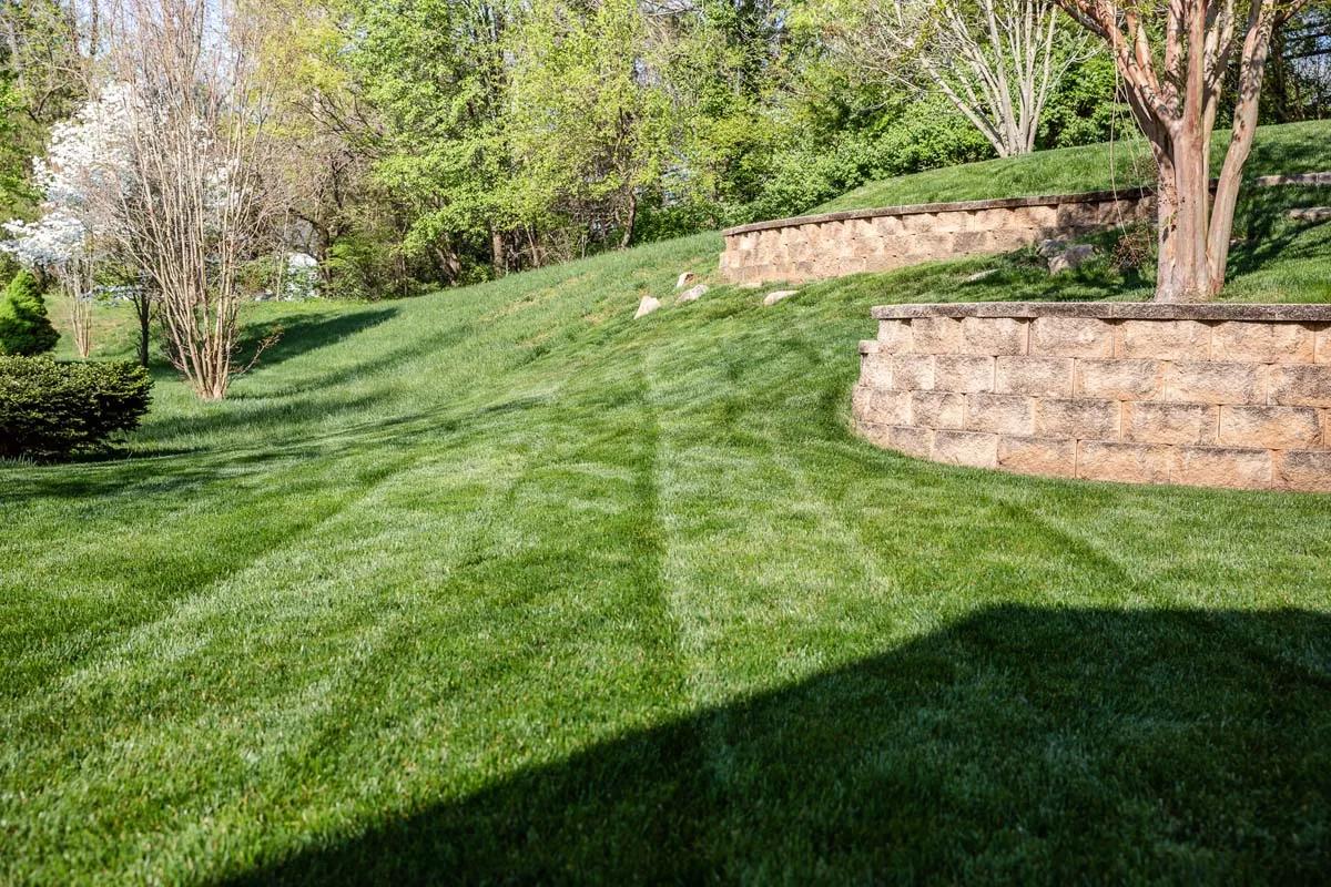 Lawn Care
