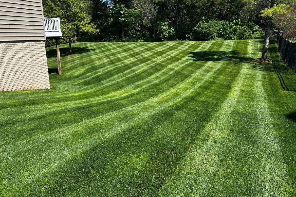 Professional Mowing
