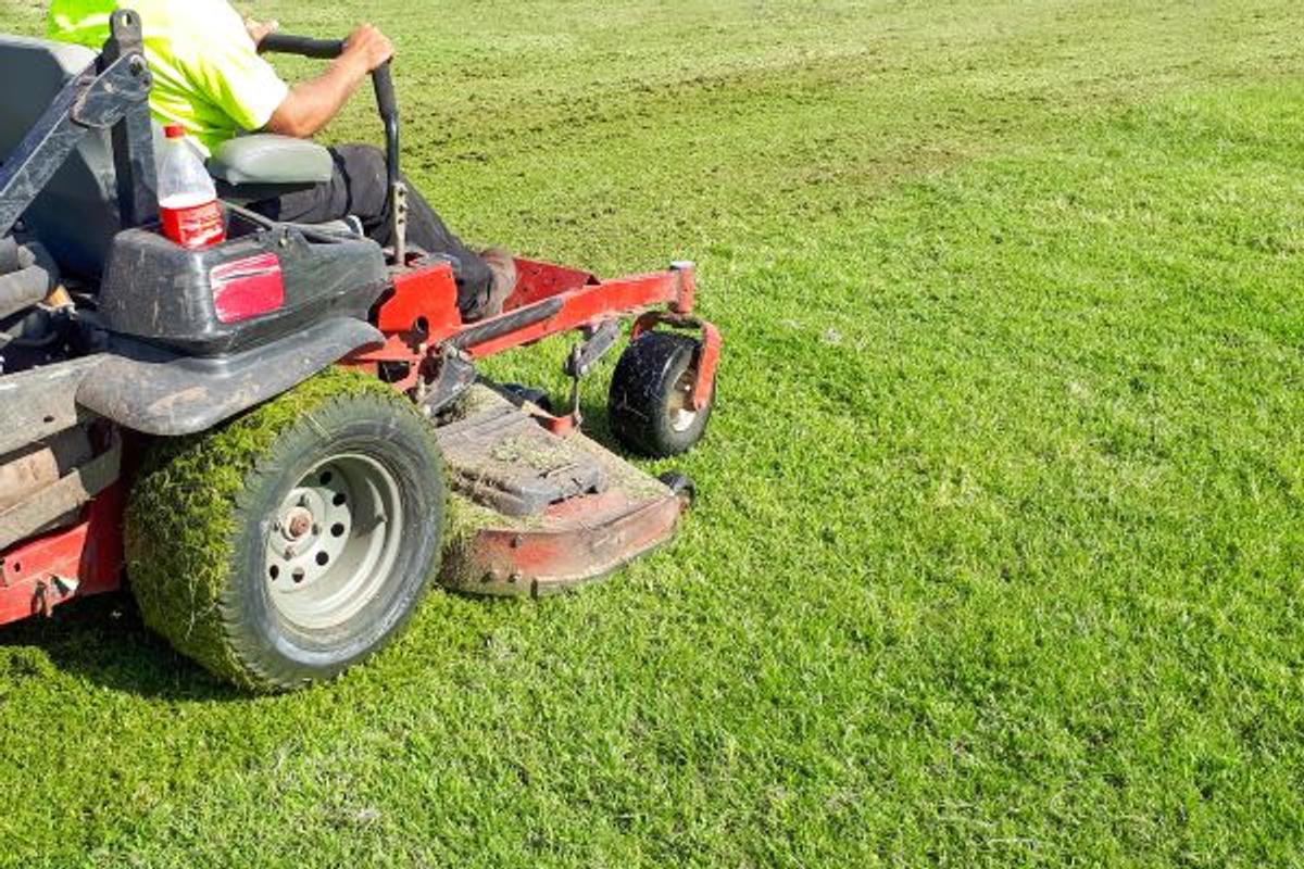 7 Signs You Need Professional Lawn Mowing Services (And Why DIY Isn't Working)