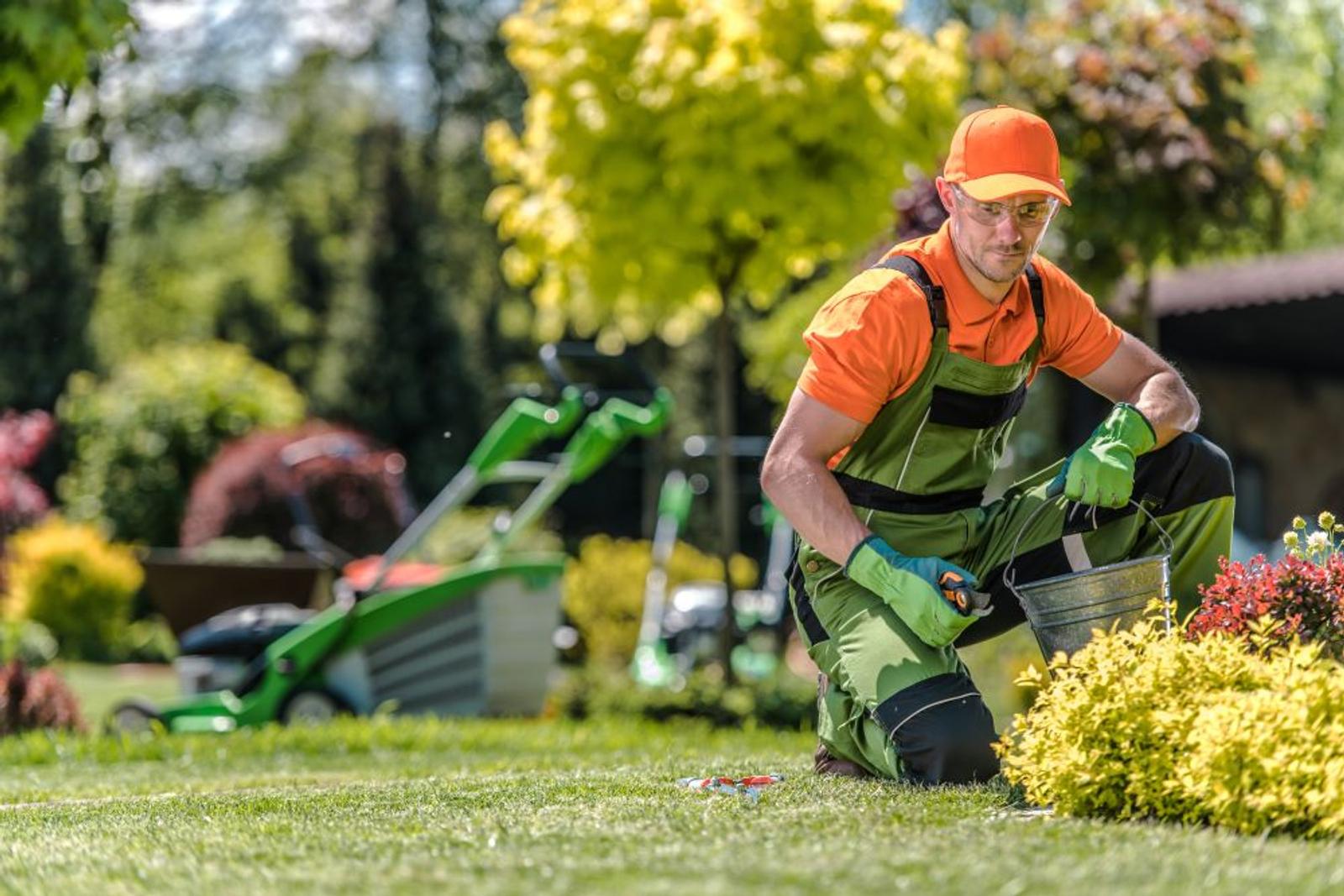 The Ultimate Northern Virginia Lawn Care Guide: Season by Season Secrets for a Perfect Yard