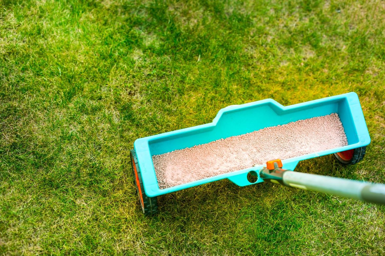 Overseeding