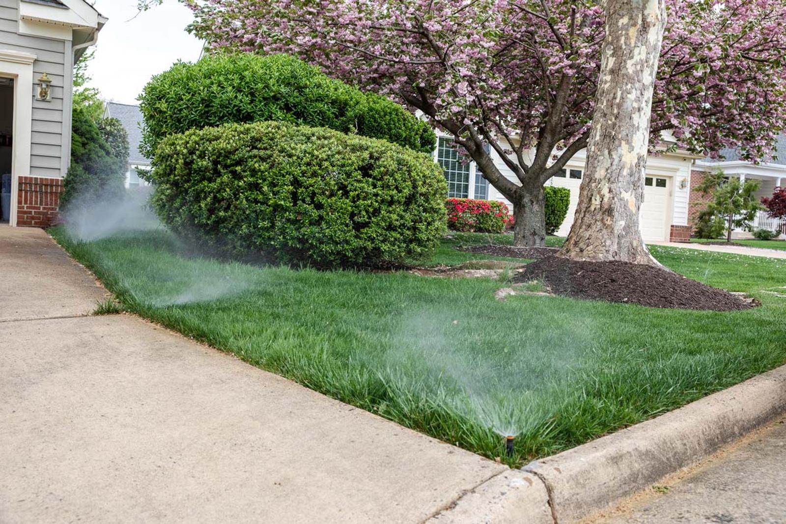 How To Water Your Lawn in the Summer