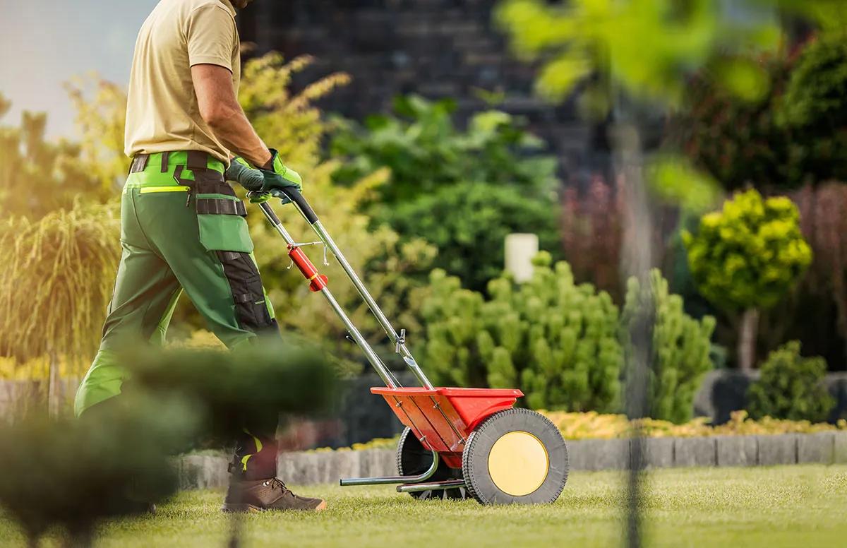 Topdressing