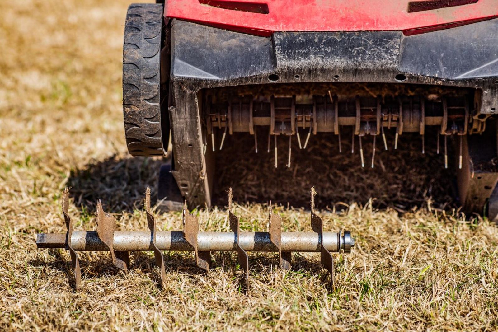 Lawn Aeration