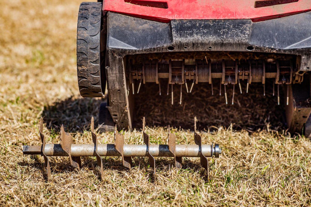 Lawn Aeration
