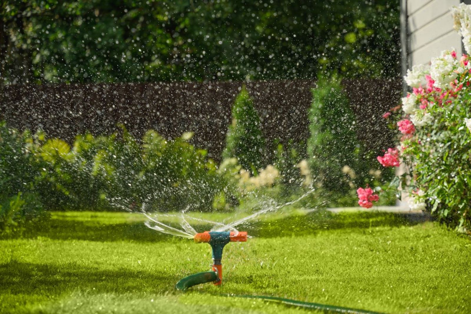 Sprinkler Winterization