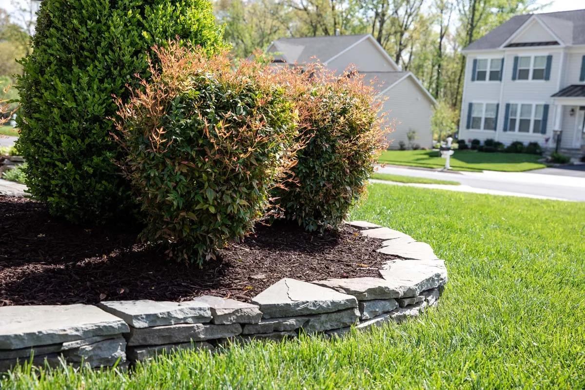 Landscaping