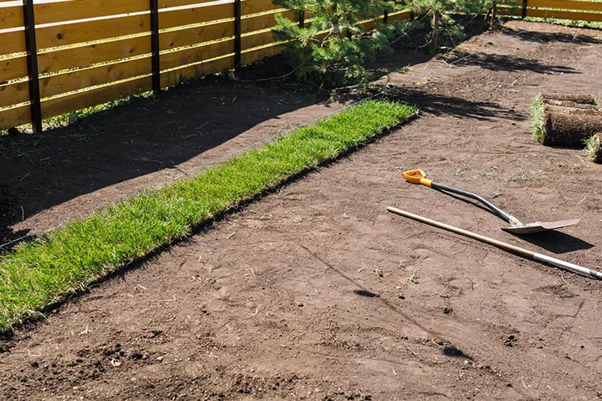 Lawn Renovation