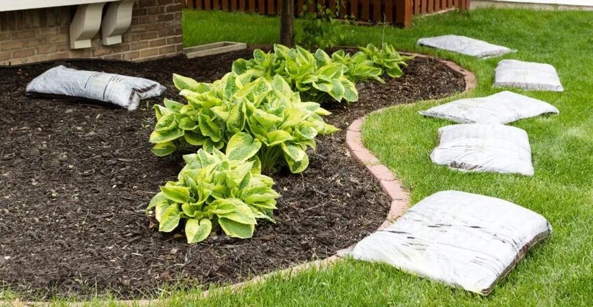 What Are the Benefits of Mulch?