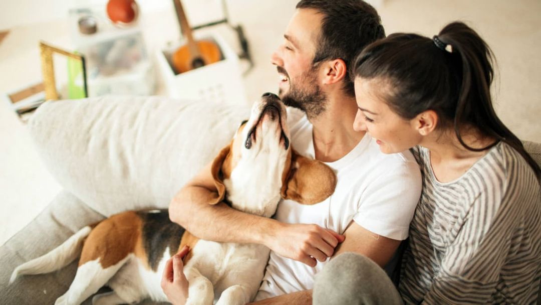 man and woman sitting on sofa with pet dog