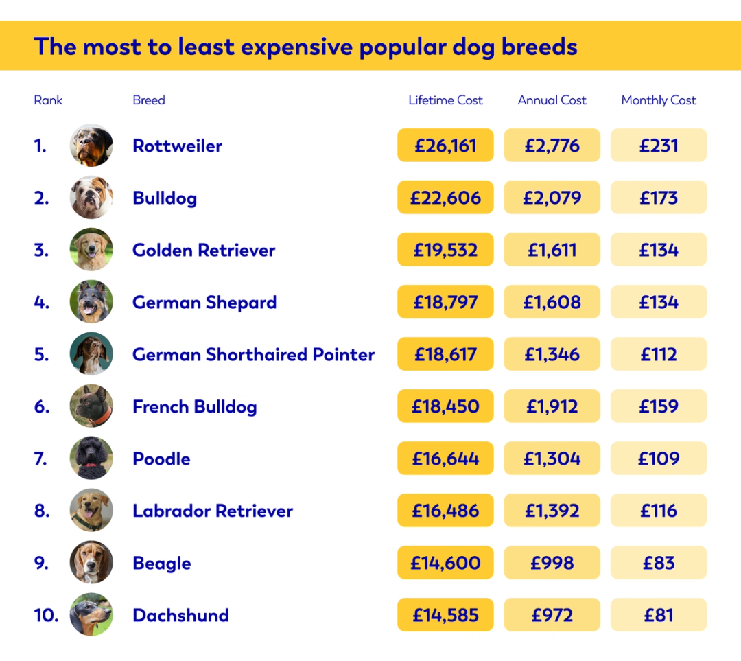 Table graphic showing the cost of owning popular dog breeds