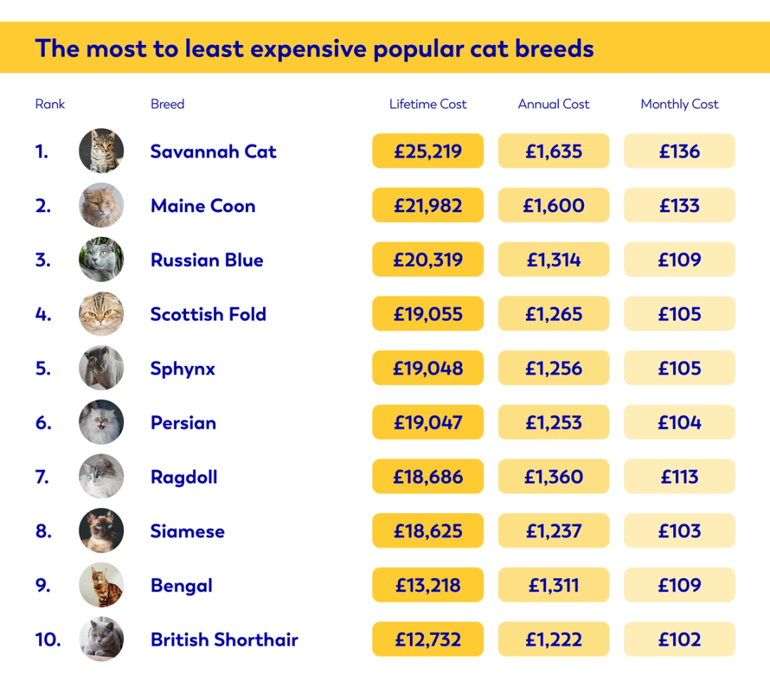 Table graphic showing the cost of owning popular cat breeds