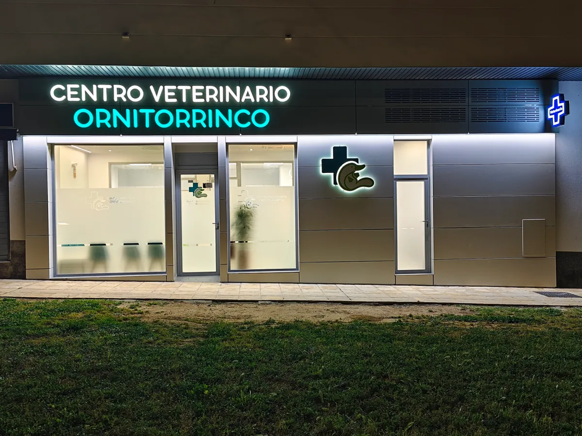 Fachada Centro Veterinario Ornitorrinco de noche frontal