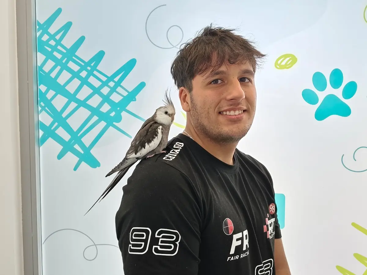 La ninfa CUCO en consulta