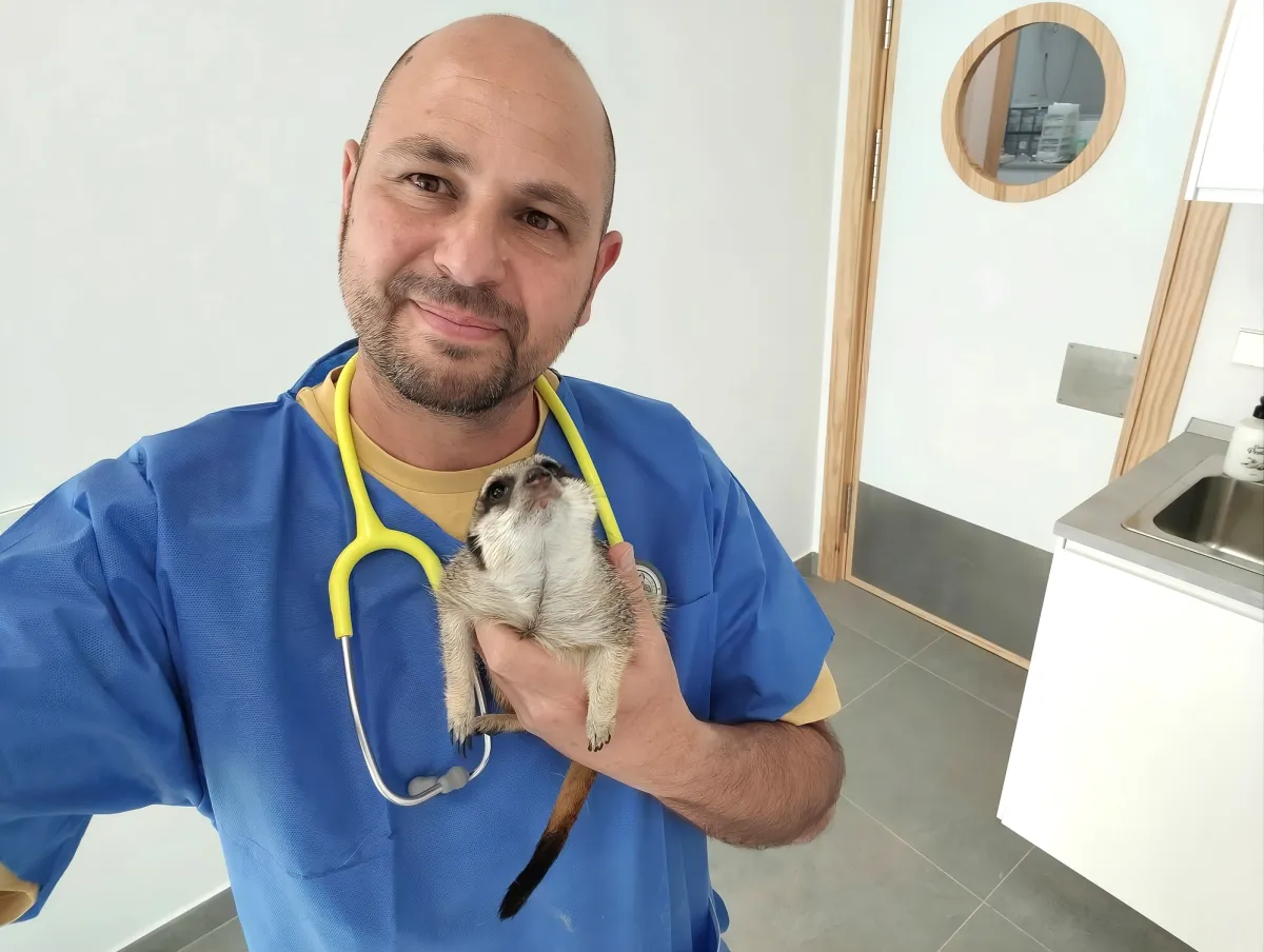 Javier con una suricata