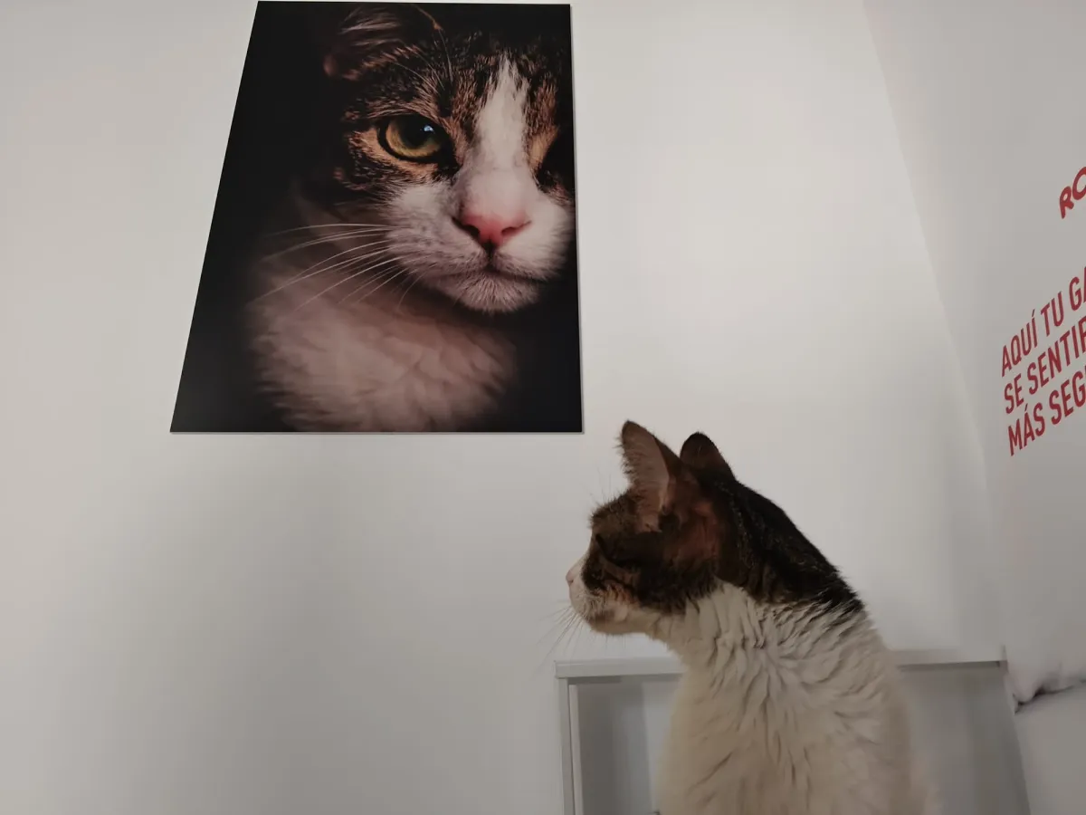 Alvin supervisando la colocación de su retrato