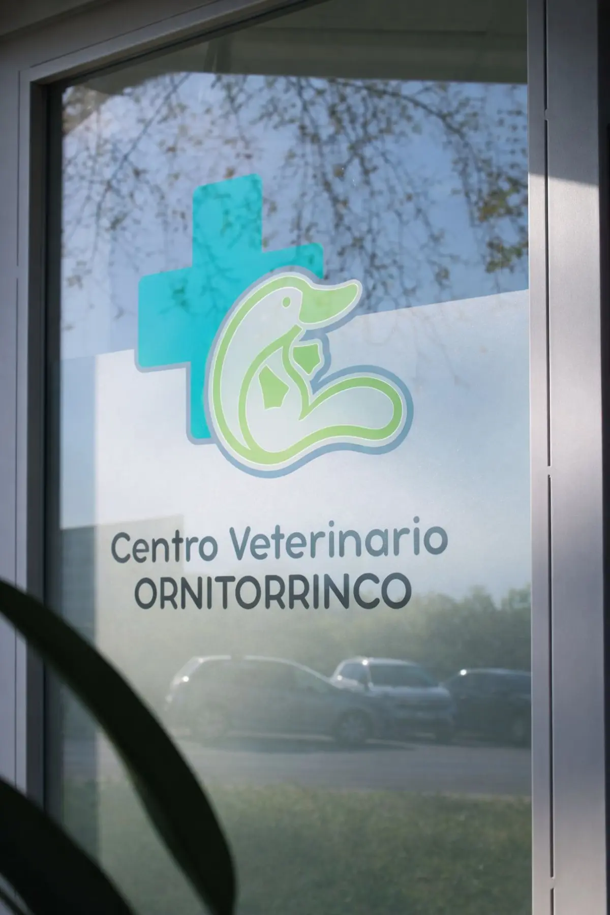 Detalle logo puerta de entrada Centro Veterinario Ornitorrinco