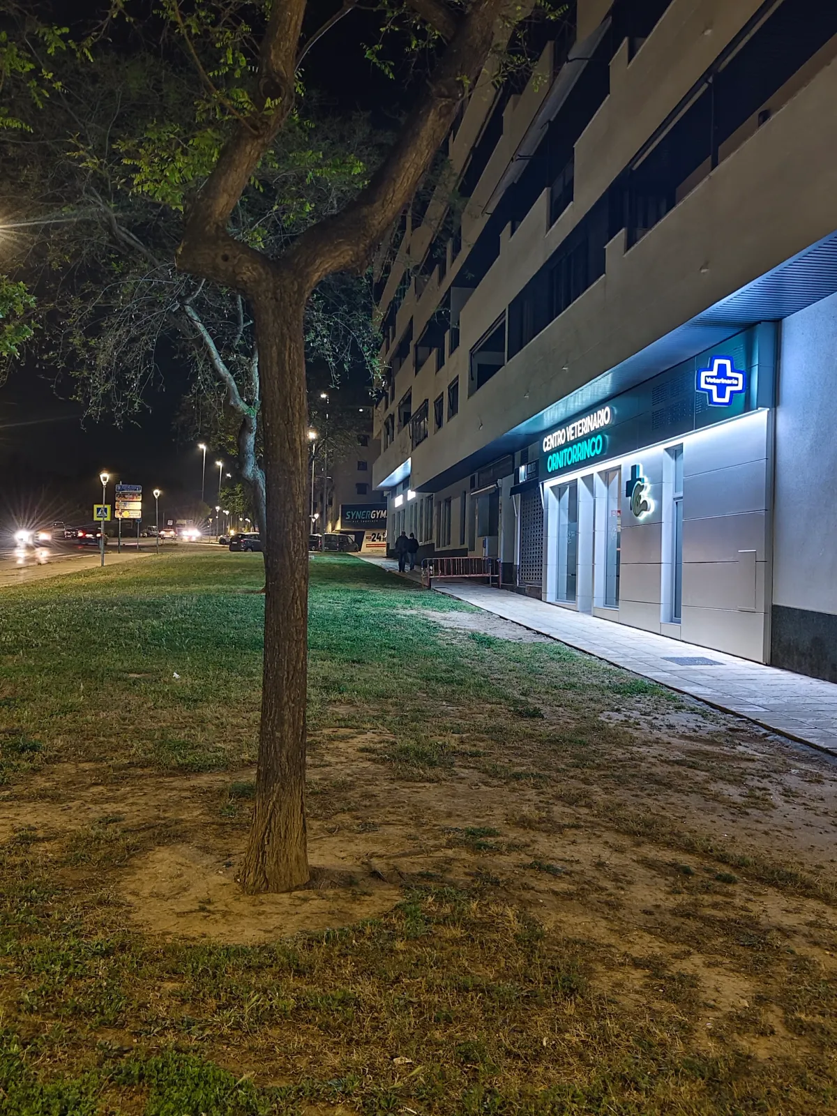 Calle de Centro Veterinario Ornitorrinco de noche