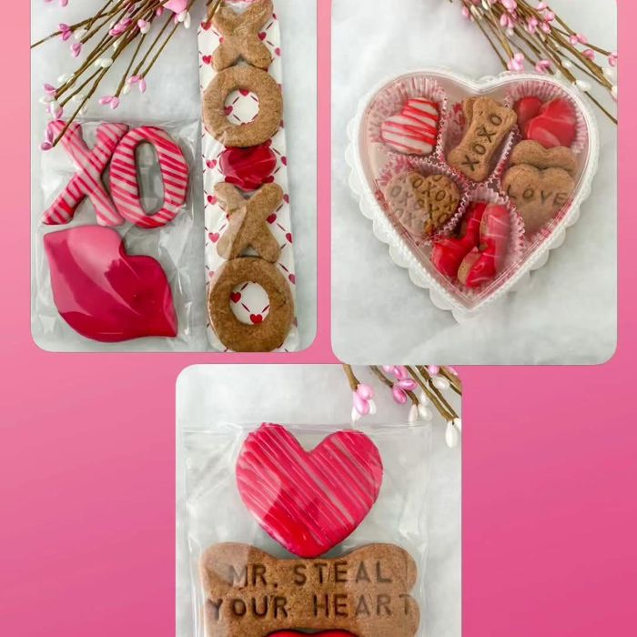 Valentine's Treat Bags