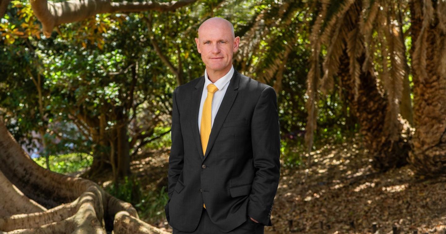 vertical slide image