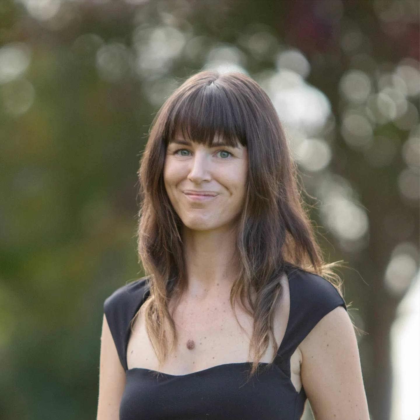 vertical slide image