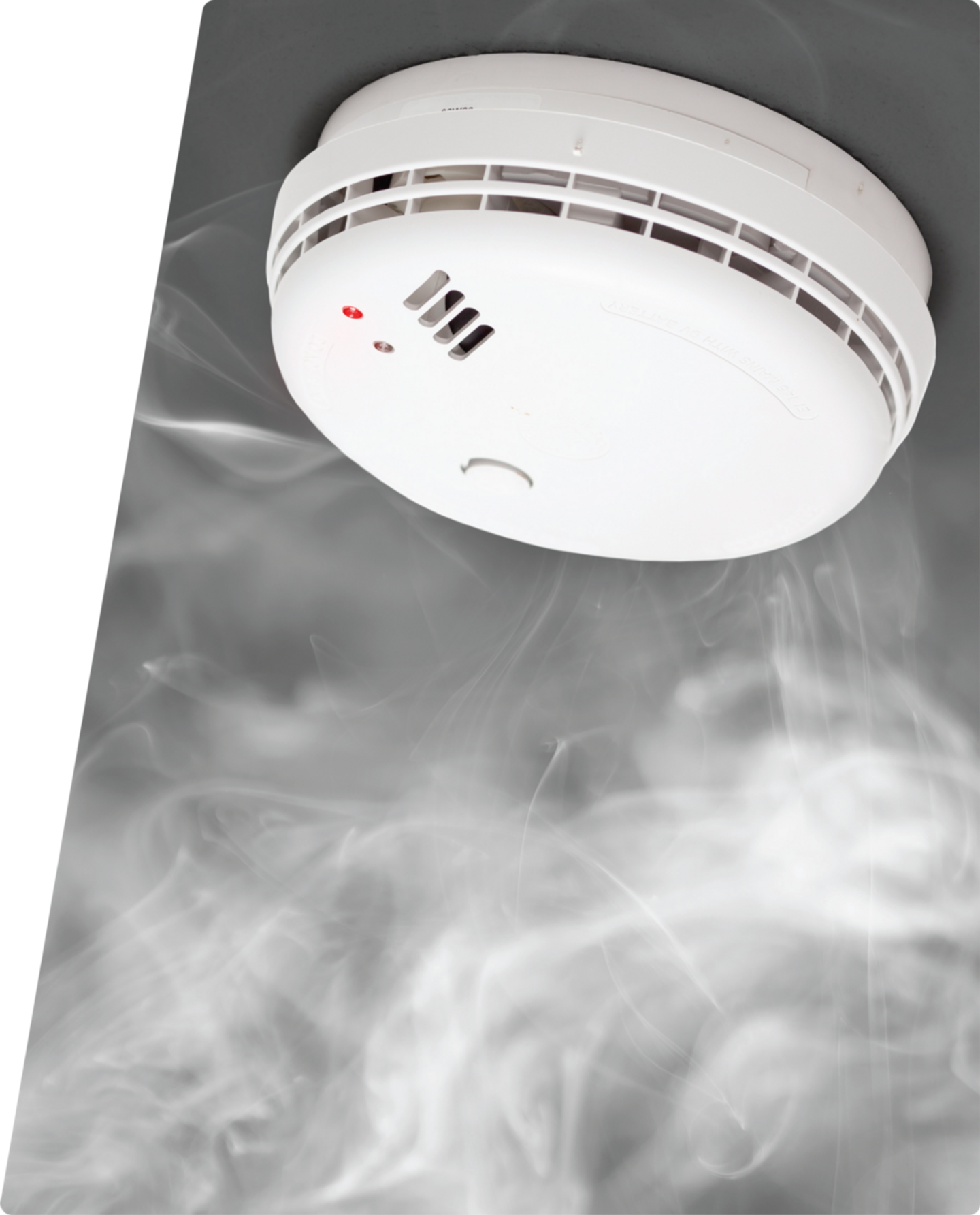 Large page header image