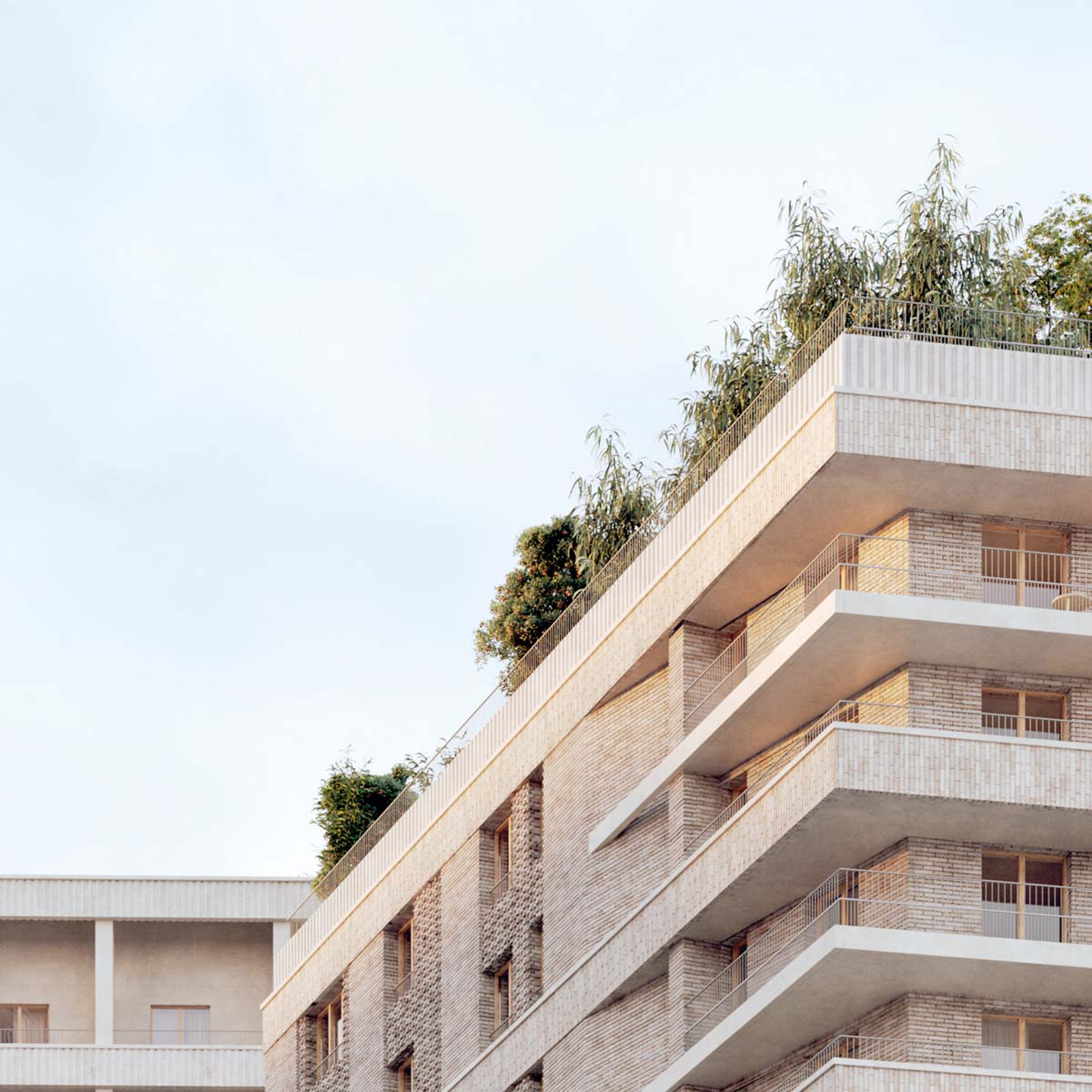 135 LOGEMEMENTS COLLECTIFS ET COMMERCES