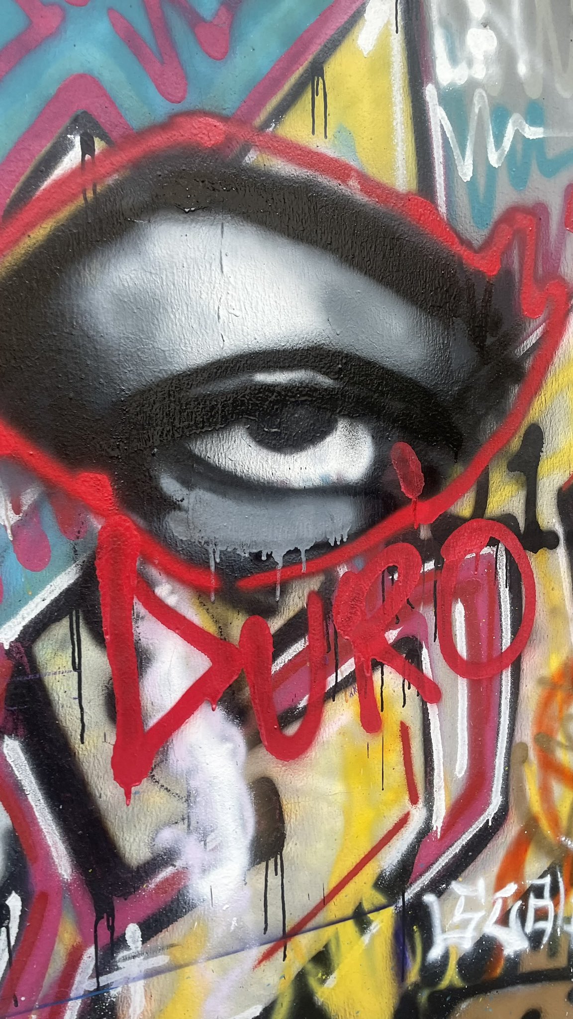 PortfolioArticle Image